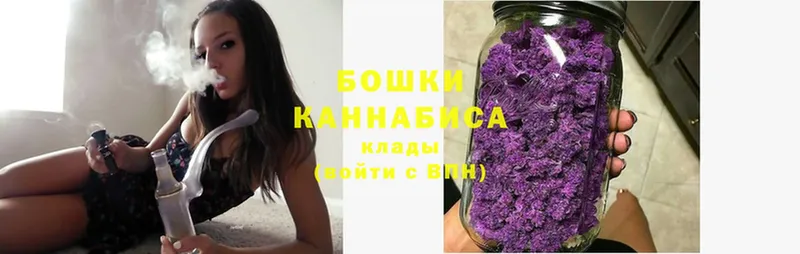 Бошки Шишки OG Kush  где купить наркоту  Новотроицк 